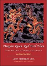 DragonRises DragonRises