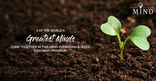 MagicInMind_FB_Ad1